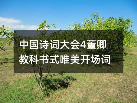 中国诗词大会4董卿教科书式唯美开场词