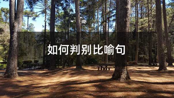 ����б������