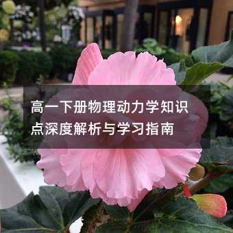 高一下册物理动力学知识点深度解析与学习指南