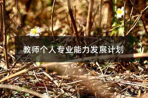 教师个人专业能力发展计划