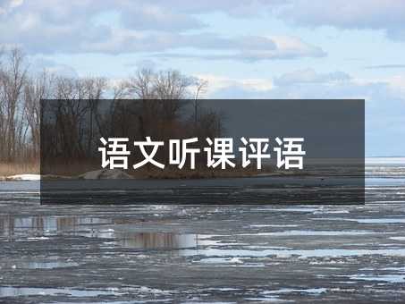 语文听课评语