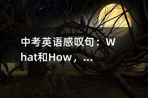 中考英语感叹句:What和How,别再蒙了!
