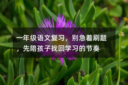 һ꼶ĸϰˢ⣬㺢һѧϰĽ