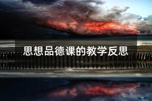 思想品德课的教学反思