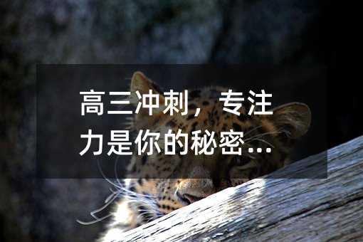 高三冲刺,专注力是你的秘密武器