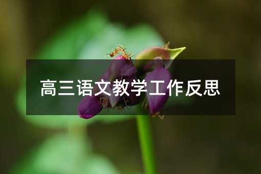 高三语文教学工作反思