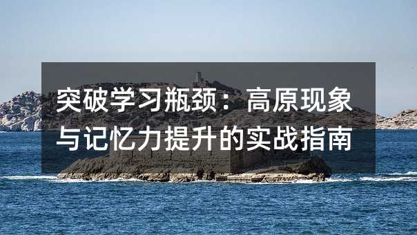 突破学习瓶颈:高原现象与记忆力提升的实战指南