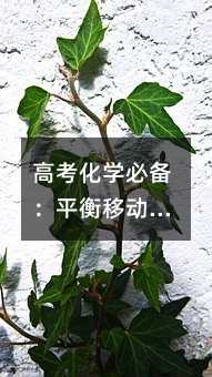 ߿ѧرƽƶȫ֪ʶܽᣡ