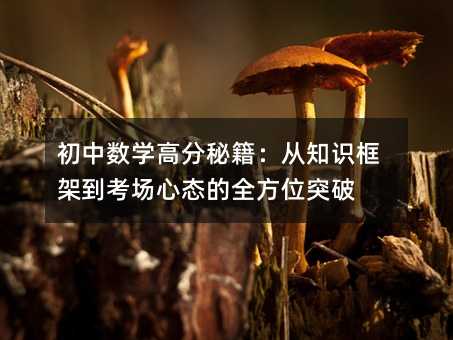 ������ѧ�߷��ؼ�����֪ʶ��ܵ�������̬��ȫ��λͻ��