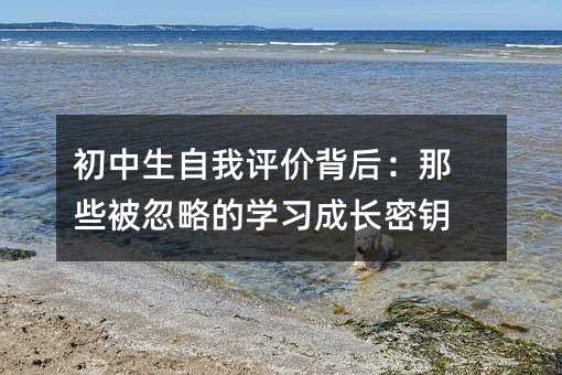 �������������۱�����Щ�����Ե�ѧϰ�ɳ���Կ