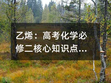 ��ϩ���߿���ѧ���޶�����֪ʶ�����