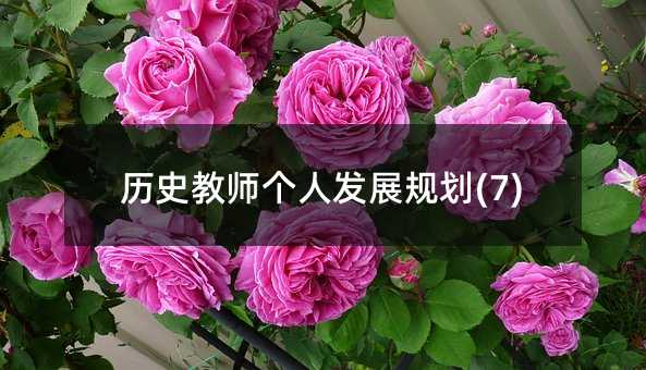 ��ʷ��ʦ���˷�չ�滮(7)