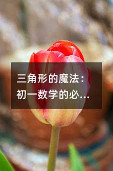 �����ε�ħ������һ��ѧ�ı�ɱ����һ��ѧ�ᣡ