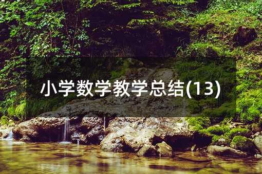 Сѧ��ѧ��ѧ�ܽ�(13)