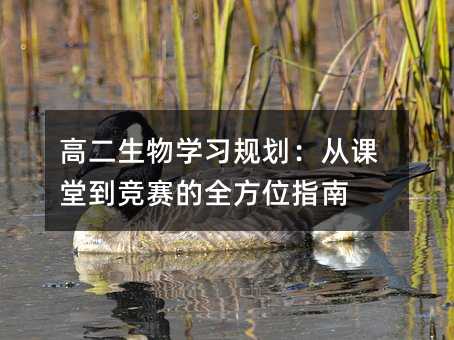 �߶�����ѧϰ�滮���ӿ��õ�������ȫ��λָ��