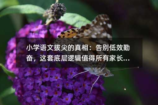 小学语文拔尖的真相:告别低效勤奋,这套底层逻辑值得所有家长收藏
