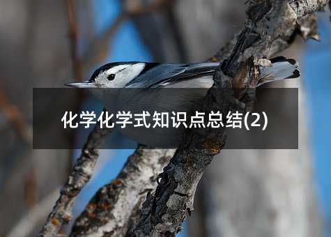 ��ѧ��ѧʽ֪ʶ���ܽ�(2)