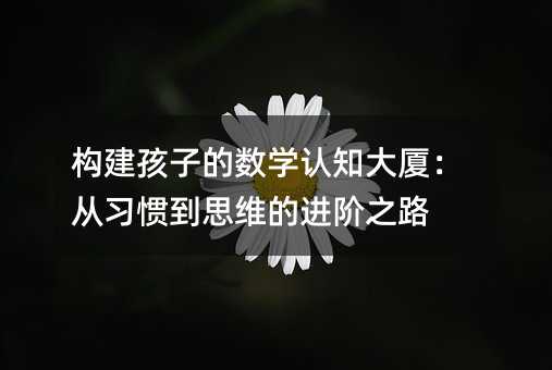 构建孩子的数学认知大厦:从习惯到思维的进阶之路