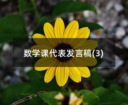 数学课代表发言稿(3)