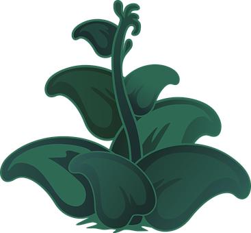 初中生物论文(10)