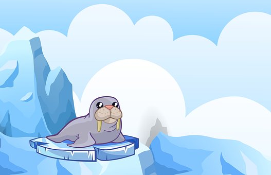 ��ľ����רҵȫ���������ѧϰ���ݵ�ְҵ��չ��ʵ��ָ��