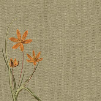 英语口语学习方法揭秘:漂亮口语是如何炼成的