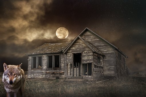 教你怎样清洗小提琴弓毛