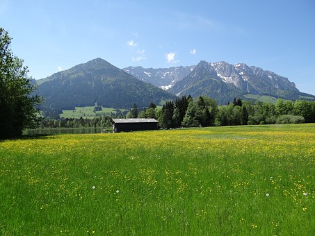 初三化学的基本概念